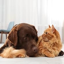 Fórmula natural não somífera