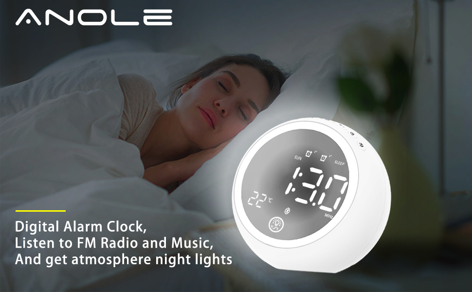 ANOLE Digital Alarm Clock Bedside Radio Alarm Clocks with 2 USB