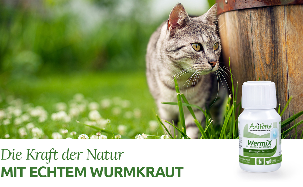 Wurmmedizin Milbemax Bewertungen