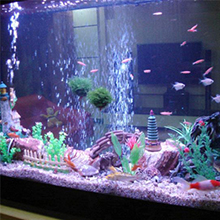 fish tank light