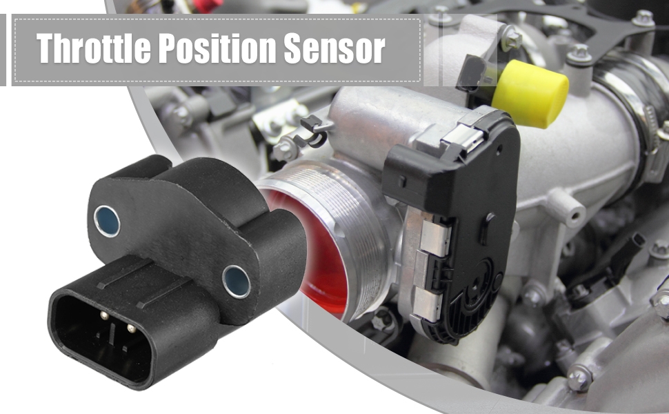 Amazon.com: X AUTOHAUX Throttle Position Sensor TPS