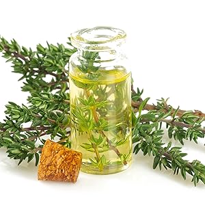 thyme dishwasher smell aroma smelly dish washer bad smelling dirty antiviral bacteria antibacterial