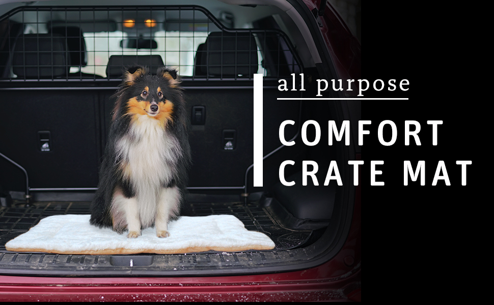 Comfort Pet Crate and Nap Mat Amazon.ca Pet Supplies