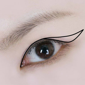 eyeliner brush
