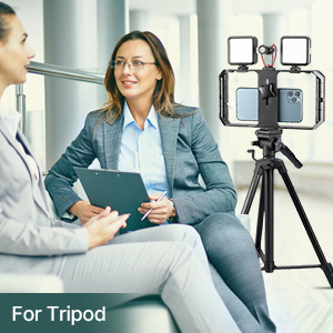 smartphone video rig