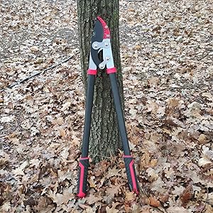 long loppers