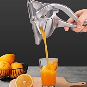 steel juicer machine for home