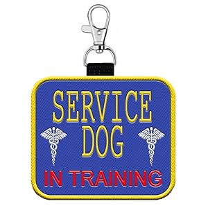 Service Dog In Training TAG