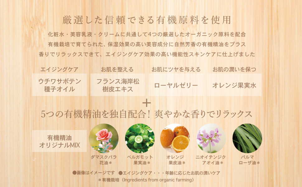 WAGANIC オーガニック スキンケア 化粧品 天然由来 成分 薬草