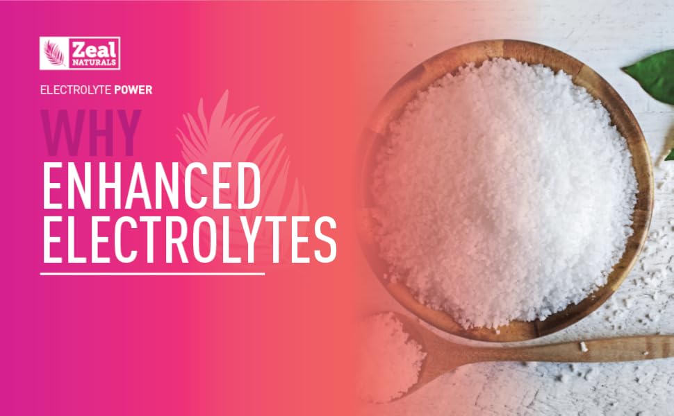 Electrolyte Powder Real Salt electrolytes bcaa bcaas b vitamins supplement endurance recovery 