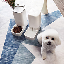 automatic cat feeder and waterer