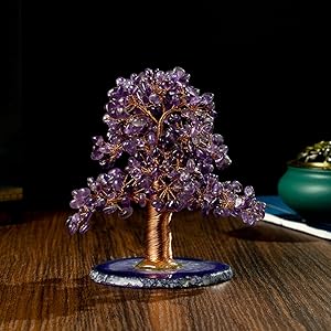 Amazon.co.jp: 招財樹 金のなる木 アメジスト 水晶 天然石 風水置物 金 Amazon.co.jp: 招財樹 金のなる木 アメジスト 水晶 天然石 風水置物 金