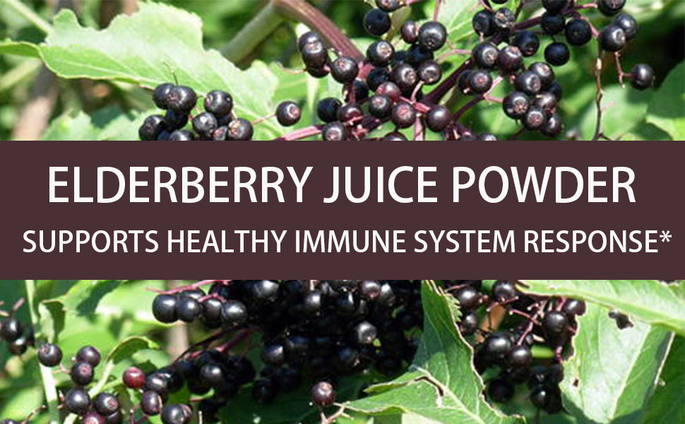 Elderberry Juice Powder, Supports Healthy Immune System