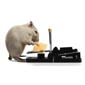 Small manufacture image 3