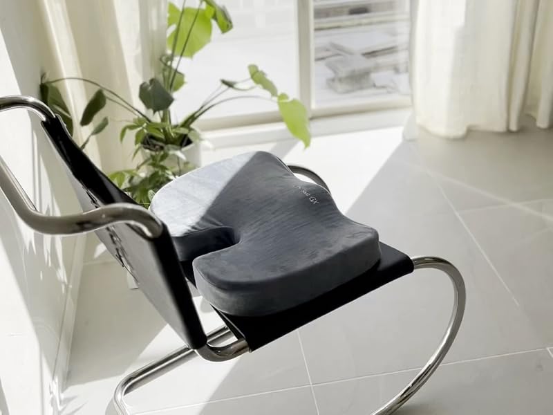 Amazon.co.jp: LIworld Dr. Seat GX 低反発クッション 腰 椅子