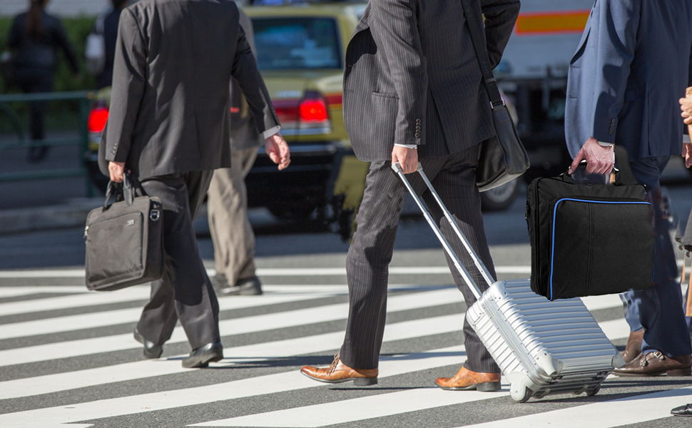 Travel Carrying Case, Portable Storage Bag Organizer for PS4 & PS4 Systems