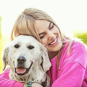dog toy tuffy