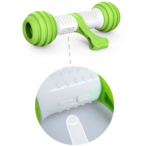 dog toy electronic