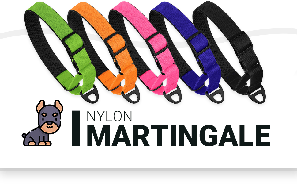 BRONZEDOG Nylon Martingale Dog Collar Soft Padded Durable