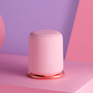 Bluetoothスピーカー(ピンク) JBL ジェイビーエル JBL FLIP 6 [ピンク] 防水 BulueTooth