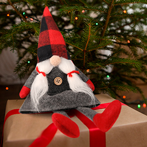 Christmas gnome