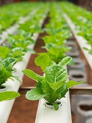 Small manufacture image 1