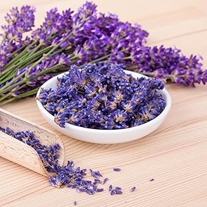 essential oil kill prevent stop thyme lavender cinnamon tea tree bergamot lemongrass citronella