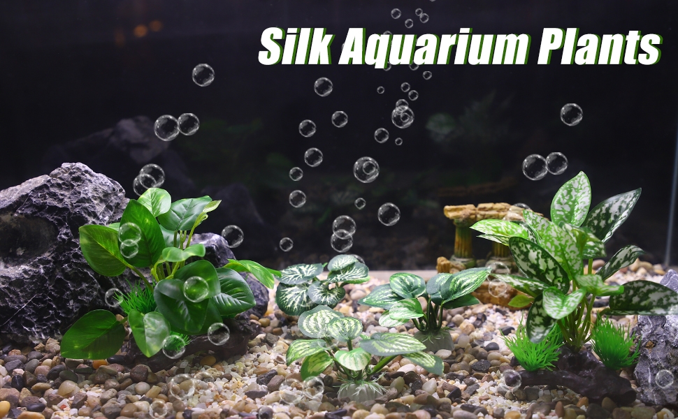 Standard Image Header With Text