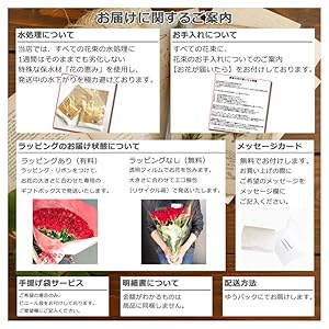 バラ額縁セット 誕生日・プロポーズは1本の赤バラと花瓶セット MERIA ROOM