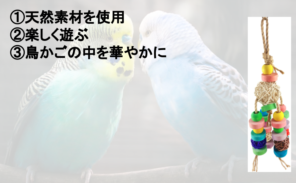 待望 Chocople インコ 鳥 吊り下げ 噛むおもちゃ おもちゃ 待望 Chocople インコ 鳥 吊り下げ 噛むおもちゃ おもちゃ