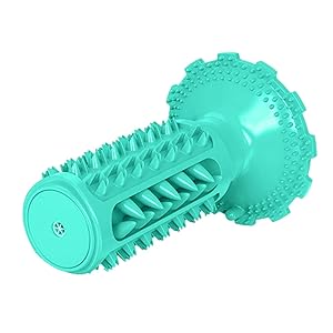 Steigert das Wohlbefinden der Zähne