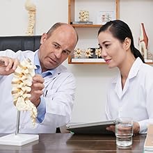 Chiropractor Designed