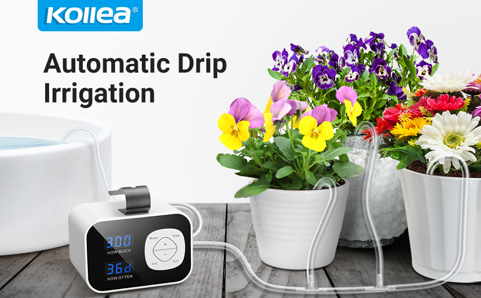 Kollea Automatic Watering System, Indoor Plant Self Watering System