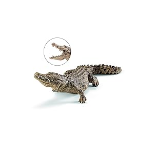 Amazon.co.jp: 大なクロコダイル ワイルドライフ ワニ
