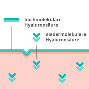 hochmolekular hyaloron hyaluronsäure