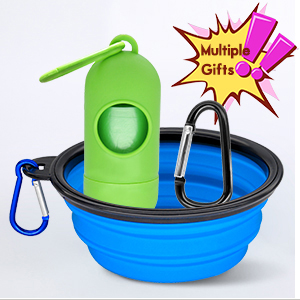 dog water set