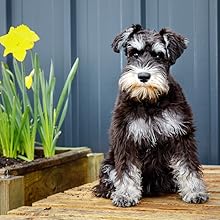 Small manufacture image 9