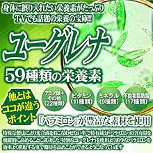 ミドリムシ Amazon | みどりむし 6兆個の乳酸菌(約6ヵ月分/360粒