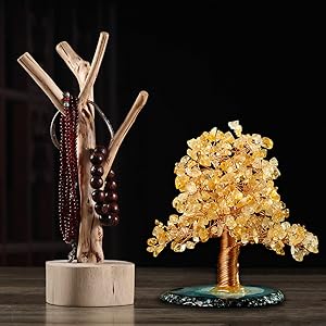 Amazon.co.jp: 招財樹 金のなる木 アメジスト 水晶 天然石 風水置物 金