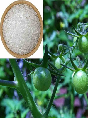 Small manufacture image 6