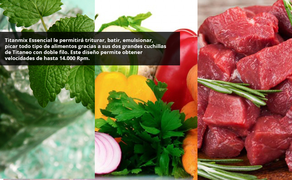 Batidora De Mano ECODE TITANMIX ESSENTIAL 14 ECO-442