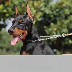 minkissy 1 Pair Puppy Adhesive Tape Stickers, Dog Ear Fixed Holder, Dog Ear Correction Accessory, Dog Ear Stretching Tool, Dog Ear Stretching Tool Kit 12 9 y 1