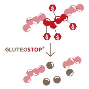 GluteoStop Gluteo stop GlutenStop Gluten Gluten Tablets Maladie coeliaque Sensibilité au sans gluten