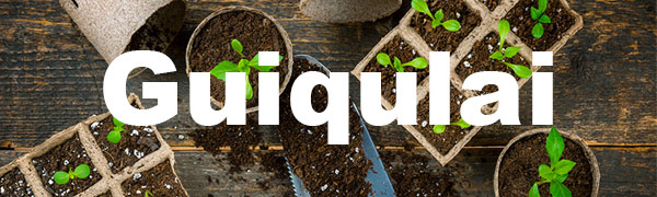 Plant Nursery Pots