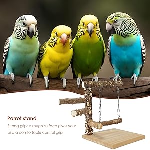 Amazon.co.jp: オウムの木スタンド - 木製バードプレイスタンド