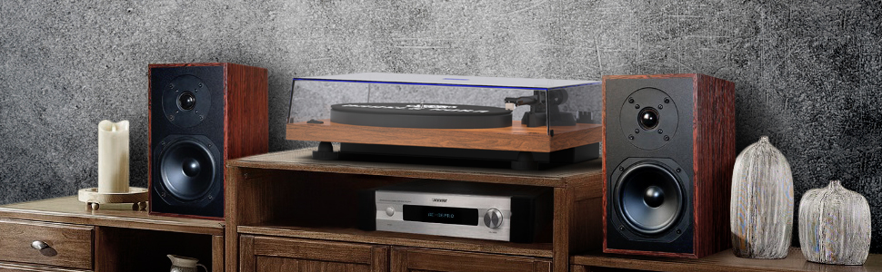 ANGELS HORN Turntable