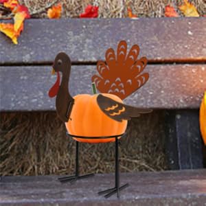 Turkey Pumpkin Making Kit