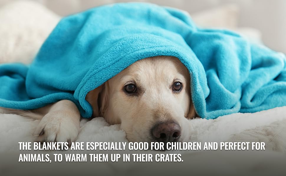 Love's cabin Flannel Fleece Blanket Throw Size Teal Throw