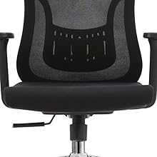 Back Support Chair