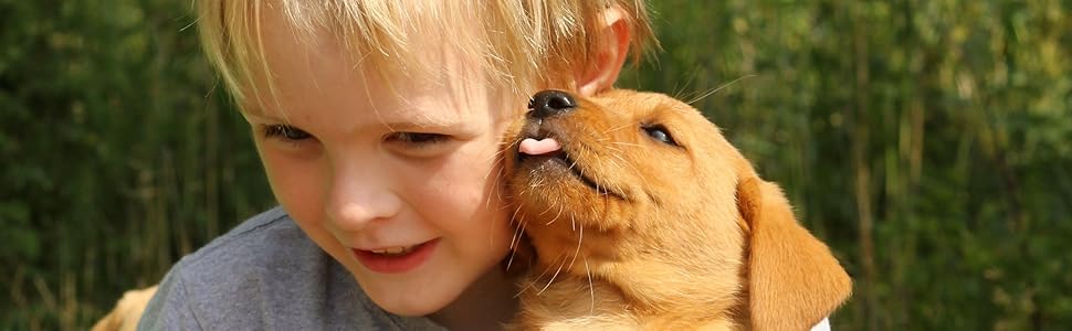 Leckerlis und Kauen für Hunde gesund.